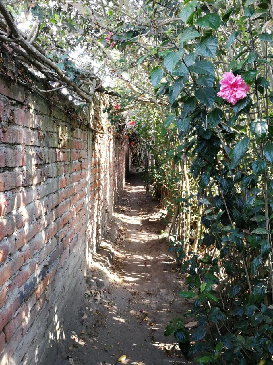 Chapelet Hostal Tababela Exterior foto